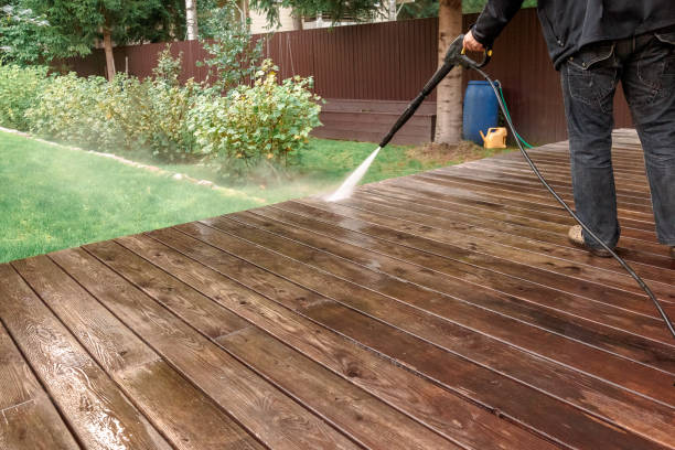 Best Roof Cleaning and Mildew Removal in Le Mars, IA